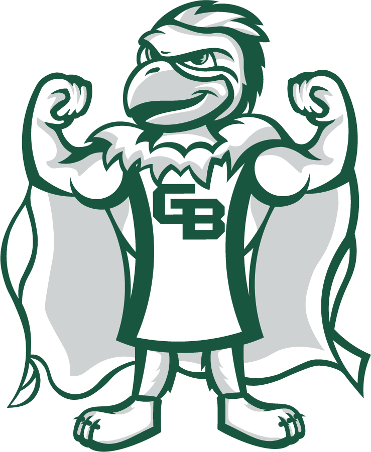 Wisconsin-Green Bay Phoenix 2020-Pres Mascot Logo v5 iron on transfers for T-shirts